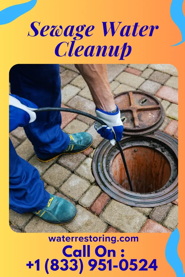 Sewage Water Cleanup in Harper, IA