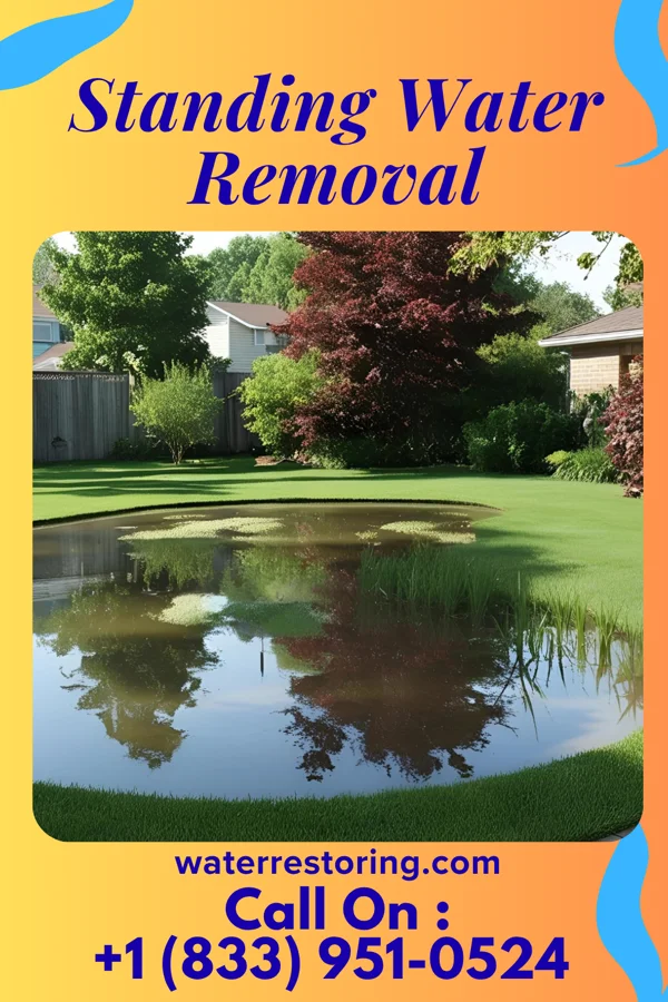 Standing Water Removal in Harper, IA